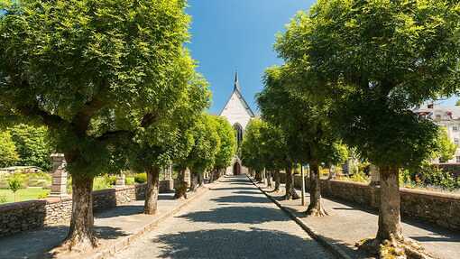 ABTEI KLOSTER MARIENSTATT - Das Zisterzienserkloster Abtei Marienstatt liegt in einem der sch&ouml;nsten Abschnitte des Nistertals.