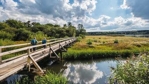 WESTERWÄLDER SEENPLATTE - Sieben sogenannte Weiher bilden die Westerwälder Seenplatte.